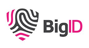 Horizontal_BigID_Logo